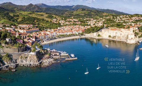 VERKAUF IN COLLIOURE, 50 Meter vom Strand entfernt, im Herzen des Faubourg, Die Agentur CASTING IMMOBILIER bietet Ihnen an, Ihre zukünftige Villa mit 3 Schlafzimmern zu buchen. Dieses Haus bietet eine schöne Wohnfläche von ca. 83m2, Es besteht aus ei...