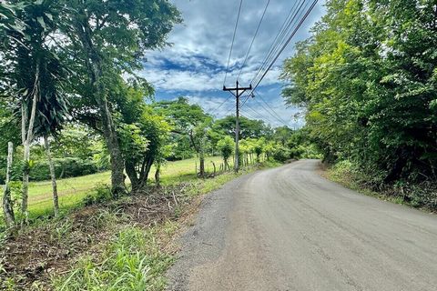 Inmueble-RC1675 Lots for Recreational Quintas in Piedras Negras de Mora. Mother Property. Access to the Jaris River. 1 km in front of public street on 3 sides of the property. Land Use: Rest of the Canton Zone (ZRC): This area is not contemplated wit...