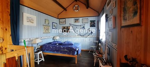 photo no. 10