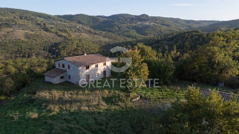 This charming farmhouse located in San Venanzo, in the heart of Umbria, was restored in 2010, presenting a commercial area of ​​469.4 square meters distributed over two floors. The property, surrounded by a vast area of ​​125 hectares which includes ...