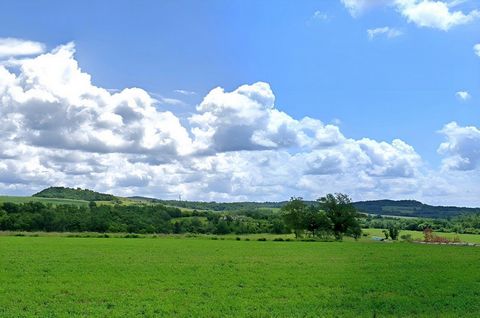 Die mittelalterliche Stadt Buje liegt im nordwestlichen Teil der Halbinsel Istrien und befindet sich auf einem Hügel, von dem aus man einen herrlichen Blick auf das Meer, die umliegenden Hügel, Weinberge und Olivenhaine hat, für die diese Gegend berü...