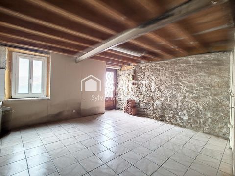 photo no. 6