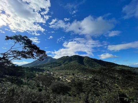 Une belle propriété de 2055 varas carrés située à Los Naranjos est à vendre étant l’une des plus grandes attractions naturelles du pays. Entre les départements de Santa Ana et de Sonsonate, Los Naranjos bénéficie d’un climat privilégié en raison de l...