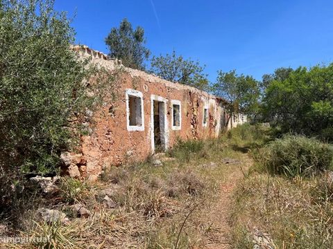 Land of 3920m2 with semi-detached ruin of 117m2, facing south thus having a perfect sun exposure that nowadays is extremely important even for a future installation of photovoltaic panels or solar thermal panels. It has a cistern of 49m2. Electricity...