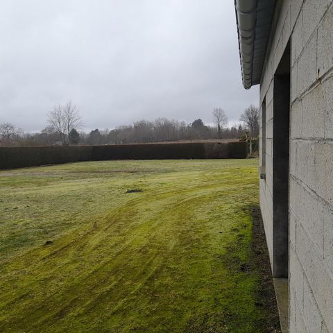 photo no. 5