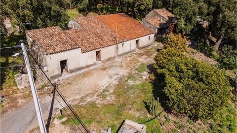 Na belíssima e cada vez mais procurada aldeia de Marmelete dispomos desta belíssima quinta para recuperar, trata-se de um terreno com 8240m2, onde encontramos belíssimos sobreiros e um produtivo pomar de citrinos, para além de variados socalcos para ...