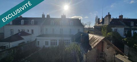 IDEAL INVESTISSEURS - APPARTEMENT T2 VUE SUR LOIRE ET BASILIQUE ST MARTIN