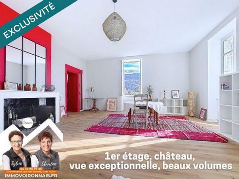 Rare : Appartement de charme dans ancien château avec parc arboré, vue sur la Sûre !