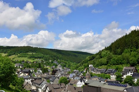 This apartment is set in the heart of the Willingen town. It has 1 room for up to 3 people; ideal for a memorable family stay. Ski area and public pool nearby. The hillside location offers skiing, horse riding and even golfing in 1000 m, a dip in the...