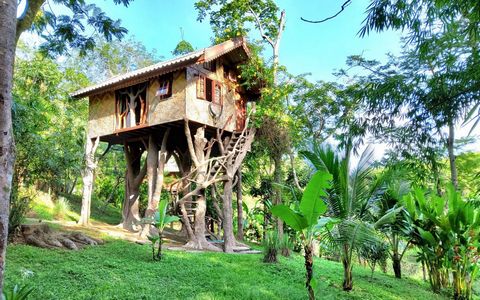 TREEHOUSE HOLIDAYS RESORT   Total area:  10 Thai Rai - equal to 16.000 sqmtr, with enough space for another 10 houses.   Location:  https://goo.gl/maps/oDhcdBZmUnzsGdHm8   Description:  The island Koh Yao Noi is like Koh Samui 40 years ago: safe, tra...