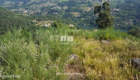 Land for Sale with an area of 13700 m2. Situated in a pleasant location with unobstructed views. It has great sun exposure and good access. Business opportunity! Come visit! Tarouquela, Cinfães. Ref.: MC09079 FEATURES: Land Area: 13 700 m2 Area: 13 7...