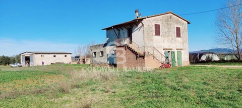 LAZIO - VITERBO - PESCIA ROMANA EX-ENTE MAREMMA FARMHOUSE WITH LAND AND OLIVE TREES On the border with Tuscany, immersed in the typical Maremma countryside, don't miss a characteristic farmhouse of the Ex-Ente Maremma, with shed and agricultural outb...