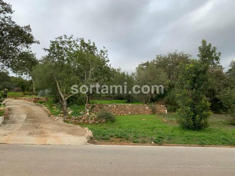 Magnificent flat plot of land with a well! Located in an expanding area in the area of Querença, this rustic land with 1000m² is an unique investment opportunity. Land for rainfed agriculture and irrigation, located close to Estrada Nacional 125 and ...