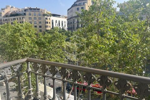 A long-term rent of a spacious two-bedroom apartment with a balcony in the heart of Barcelona. The apartment is situated on a quiet street named Pasaje de la Concepción, just a few minutes away from the famous Paseo de Gracia. Paseo de Gracia is popu...