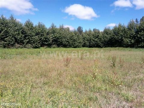 Land in Vinhós Agricultural land with water, good sun exposure and views of the city of Fafe. Buy with ERA Fafe ERA Fafe opened its doors in 2005 and built an upward path that is now recognized by the local and national market. Guided by maximum cust...