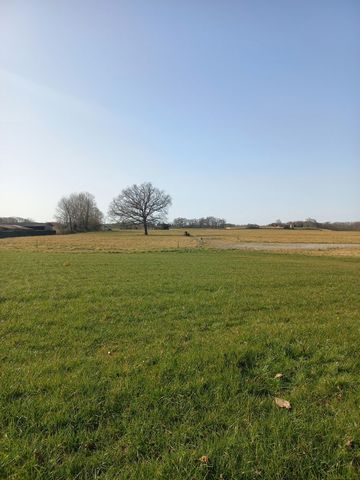 Close to the town of Trie-Sur-Baïse, come and discover this beautiful flat plot of land with a surface area of 2720 m2. You will enjoy a pleasant view and the calm to design your project. The land is served by drinking water and electricity networks....