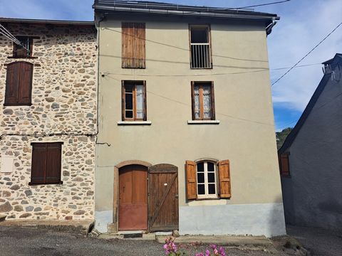 Come and discover this house, located in the pleasant village of Sentenac d'Oust. Former grocery store / restaurant of the village, it offers great possibilities. On the ground floor you will find a living room with open fireplace, as well as a back ...