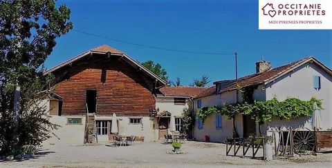 House with 3 gîtes and studio on 4500m2 of land near Masseube In fact, there are 2 houses. The old house consists of 3 bedrooms, with a spacious gite adjoining with 3 bedrooms. Adjoining it is a spacious gite (downstairs) with 3 bedrooms. And then a ...