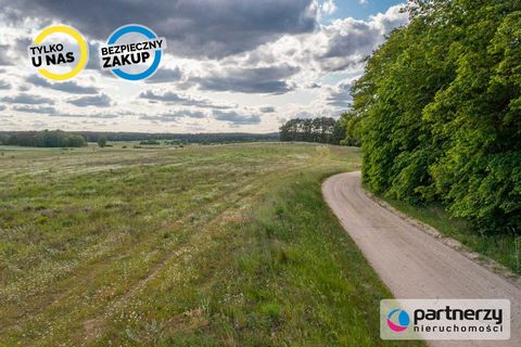 Het dorp Konarzyny in de gemeente Stara Kiszewa, in het gebied omgeven door het boscomplex van Bory Tucholskie, talrijke meren en recreatiegebieden. In de omgeving, in Stara Kiszewo, vindt u alle commerciële en dienstverlenende voorzieningen, een sch...