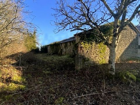 Maxime MINOLA offers you a stable with his C.U-B in the heart of the Périgord countryside with 1ha of wooded land and its meadow. Located in a small hamlet 30 minutes from Périgueux, this stable to be transformed into a residential house is in a quie...