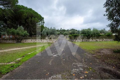 Plots of land adjacent to the former Quinta da Malgueira, in Minde, which served as a parking lot, with a total area of 1.85ha, fully fenced and partially tarred. These lands have water and electricity infrastructure. Part of these plots of land are ...