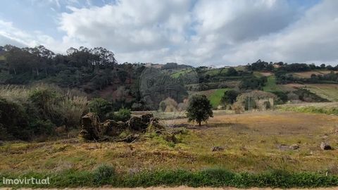 Rustic Land with Ruin in Carvalhal Benfeito   Rustic land located in Vale das Cuvas, with about 6,459m2 of area in total !   Divided into 4 fractions, 2 smaller ones composed of pine forest, and another 2 fractions with about 6,000m2 of bush.   Withi...