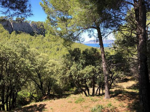 83740 La Cadière d'Azur sud-ouest, je vous propose au 07.60.01.14.86 ce très beau terrain arboré de plus de 5 000 m2 en terrasse, complanté d'essences méditerranéennes : oliviers, pins, arbousiers, lauriers... Belle vue mer sur baie de la Ciotat sans...