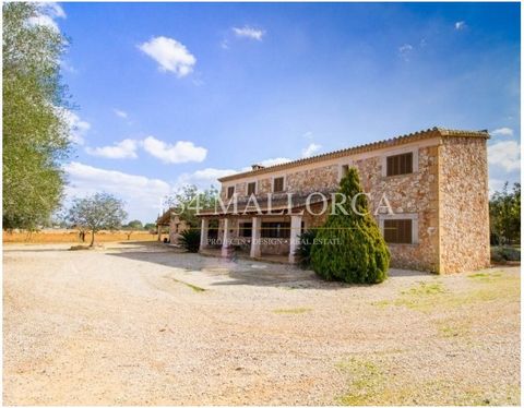 Spectacular house of 38,000 m2 in SINEU for sale. The farm has a beautiful House of 300 m2 on two floors. It has one main entrance and another for the part back, a nice porch overlooking the land with fruit trees. This House consists of: a large livi...