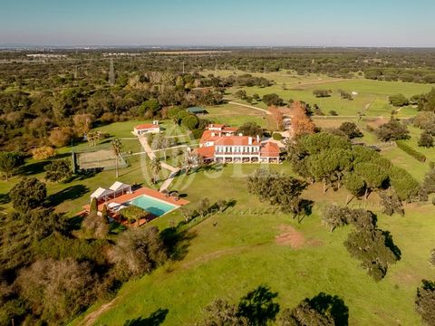 Estate, 32 hectares, with an 8-bedroom villa, 1725 sqm (gross construction area), garden, swimming pool and tennis court, located just 40 minutes from Lisbon, a few minutes from Santo Estevão Golf course and the town of Santo Estevão, in Ribatejo. Th...