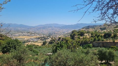 4 plots of land, 19,000 square meters, in the municipality of Alozaina, in a place called El Hornillo, irrigated citrus, olive trees, lemons, avocados, carob trees, with a well and pool, in the municipality of Alozaina, plot 328, 327, 326, 325, polyg...