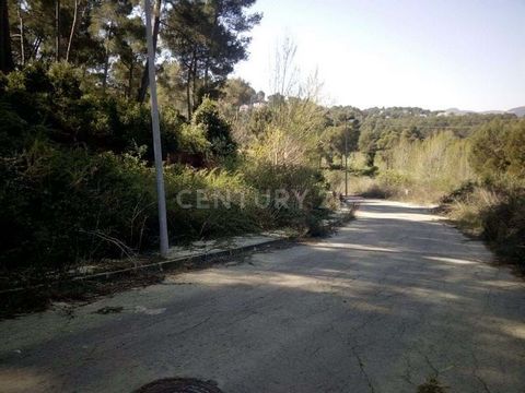 Are you thinking of building your home adapting it to your tastes and needs? We present this large 1,198 m² plot of land located in the middle of nature, in the town of Corbera de Llobregat. Enjoy imagining what it would be like to live there, what i...