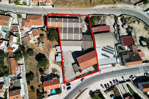 The property consists of 2 items sold together. This is a former construction company, with a licence for offices and workshops, although the PDM provides for the possibility of an urban area, meaning that there is the possibility of urban constructi...