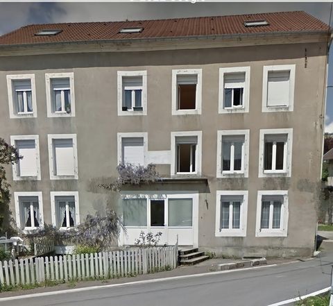 Dpt Vosges (88), à vendre LE VAL D'AJOL appartement T3 bis rdc + terrasse