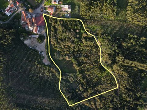 Land with historical monument of archaeological interest to be rehabilitated in Quinta do Lírio, Alhadas, Figueira da Foz The vast plot of approximately 37,555 m2 includes the old manor house with a private chapel, the Capela de São Brás. A small exc...