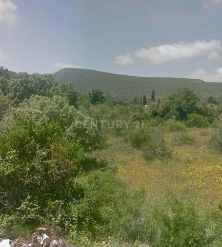 Rustic agricultural land for cultivation with olive groves. Suitable for the observation of wild boars. 2200 15m road front Alcaria, Porto de mós Why sell or buy with CENTURY 21 Because with CENTURY 21, given its highly specialized staff structure, y...