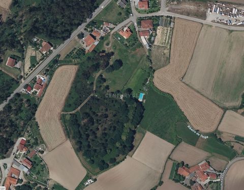 We present an investment opportunity in the municipality of Barcelos. Land with a development project for 20 houses and 5 industrial units, in the area of Alheira, Barcelos. We present an opportunity to acquire an exclusive plot of land, accompanied ...