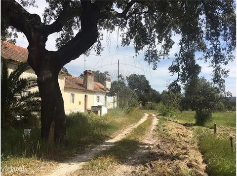 Farm in Vale de Vilão, Montargil Farm with a plot of rustic land, consisting of pine forest, cork oaks, olive trees and irrigated area, with a total of 6.7ha. With construction intended for housing, with an area of 60 m2 and oven. It has a spring at ...