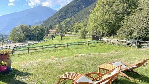Located on the heights of Saint Martin Vésubie, beautiful property, ideal for nature and horse lovers. Benefiting from a splendid panoramic view of the valley, the place offers a magnificent chalet of 160 m2, built in 2003 and composed of a beautiful...