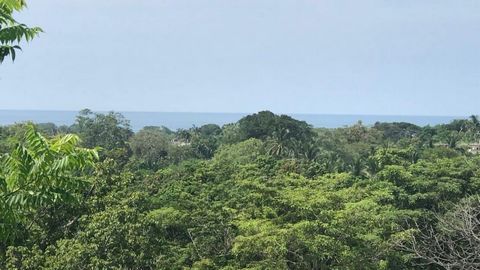 This ocean view lot located just past the entrance to La Palma is priced to sell Being just a short 2 minute drive to Playa Matanchen or a 5 minute drive in the opposite direction to Playa Los Cocos and the small fishing town of Aticama at this 330m2...