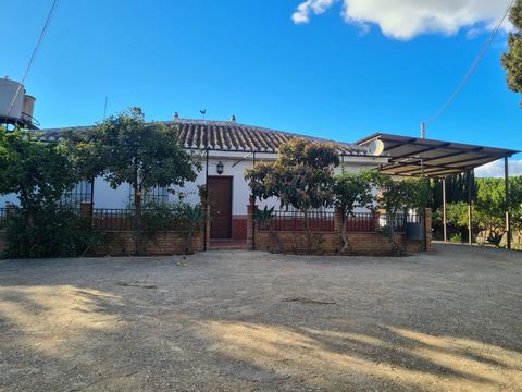 Lovely finca for sale with 120,000m2 land. Good access just 4 minutes from the main road. With it's own private gated access with another gate to enter the property. You have plenty of parking with low maintenace surrounds. The pool area is of a...