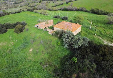 ROCCALBEGNA (GR): Organic farm of approximately 86.5 hectares consisting of: - 71 hectares approx. of medium hill arable land with related PAC shares in one body; - 15.5 hectares of pasture land; - Farmhouse to be restored of approximately 400 sqm on...