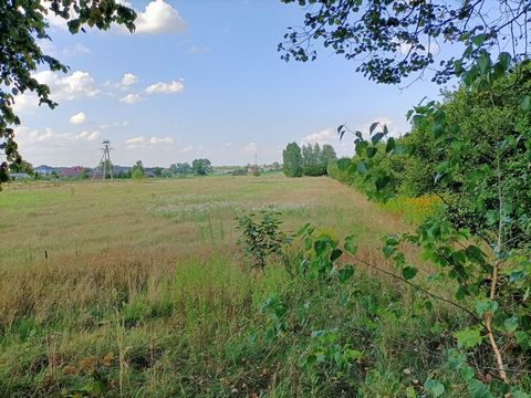 A large building and agricultural plot of 1.63 hectares by an asphalt road divided into individual plots in Nowodwór, an attractive location in the Lubartów commune, 30 km. from Lublin. Plot: -area 1.63 ha - Rectangle shape -flat terrain Dimensions: ...