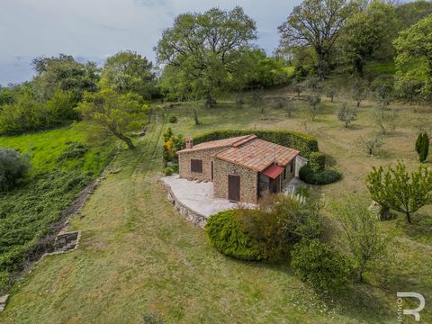 Let yourself be enchanted by this rustico in the hills of Cattabio, which accommodates two bedrooms, a cozy living room with integrated kitchen and a bathroom on just one floor. It is the perfect vacation home, ideal for a small family looking for a ...