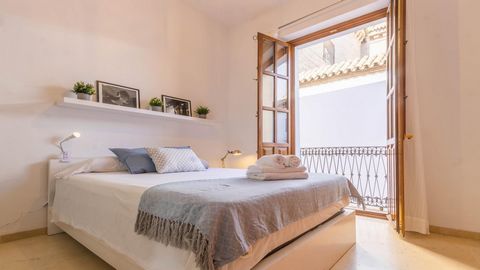 Welcome to the Anais Apartment in the Center of Seville, located in the heart of the historic center of the city. The apartment is an oasis of light and comfort that will allow you to enjoy an unforgettable vacation in Seville. The main bedroom is sp...