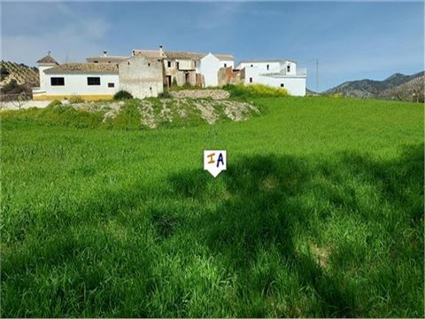 Ce Cortijo avec une dépendance de bonne taille et un généreux terrain de 1 913 m2 est situé à proximité d'Algarinejo dans la province de Grenade en Andalousie, en Espagne. Les deux propriétés ont besoin d'être rénovées, il y a actuellement de l'eau d...