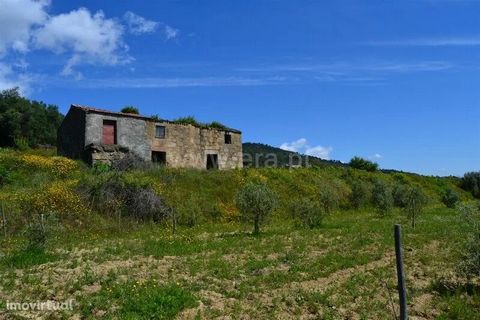 Farm with 6.8 hectares in Orjais. Fertile land with 3 water mines and vineyards with selected grape varieties Jaen and Tinta Roriz. Three traditional stone buildings, with two floors, to recover. Privileged location with good access, excellent views ...