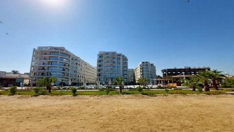     Scandic Resort. Ort: Eingebettet in das prestigeträchtige Viertel Arabiya in der Innenstadt von Hurghada bietet das Scandic Resort eine erstklassige Lage, die das Beste aus Komfort und Luxus bietet. Diese pulsierende Gegend ist bei Ausländern seh...