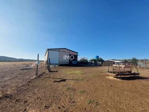 Land in Vaiamonte mit 2,77ha mit Bohrloch und Brunnen. Gemüsegarten Bereich. Bauernhaus mit 250m2 mit allen Bedingungen für die Viehzucht oder Lagerung von landwirtschaftlichen Erzeugnissen und Futtermitteln ausgestattet. Installation von Sonnenkolle...