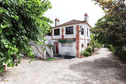 Finca en la región de Cartaxo - SantarémCasa en planta baja y 1ª planta con superficie cubierta de 170 m2, que consta de sótano, bodega, horno y pajar. 1ª planta con 6 habitaciones, 1 cocina, 3 baños. Patio con una superficie de 647 m2, además de peq...