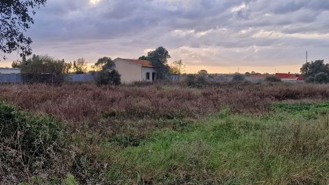 Unmissable Opportunity: Rustic Plot of Land with 5,125m² and Feasibility of Construction in Pinhal Novo! Have you ever dreamed of carrying out the ideal project in the perfect place? We present a unique opportunity: a large plot of land with 5,125m²,...